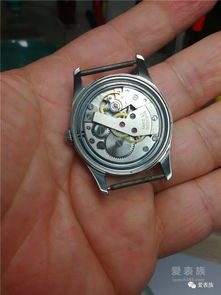 中国手表收藏家名单最新